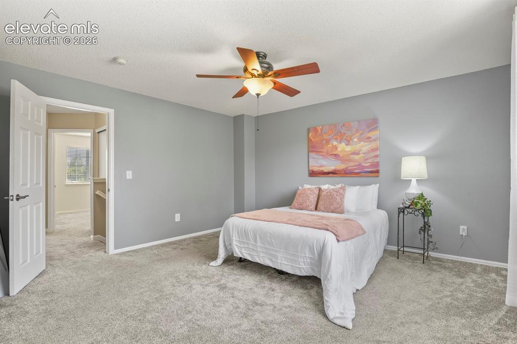 5125 Weaver Drive Colorado Springs CO 80922