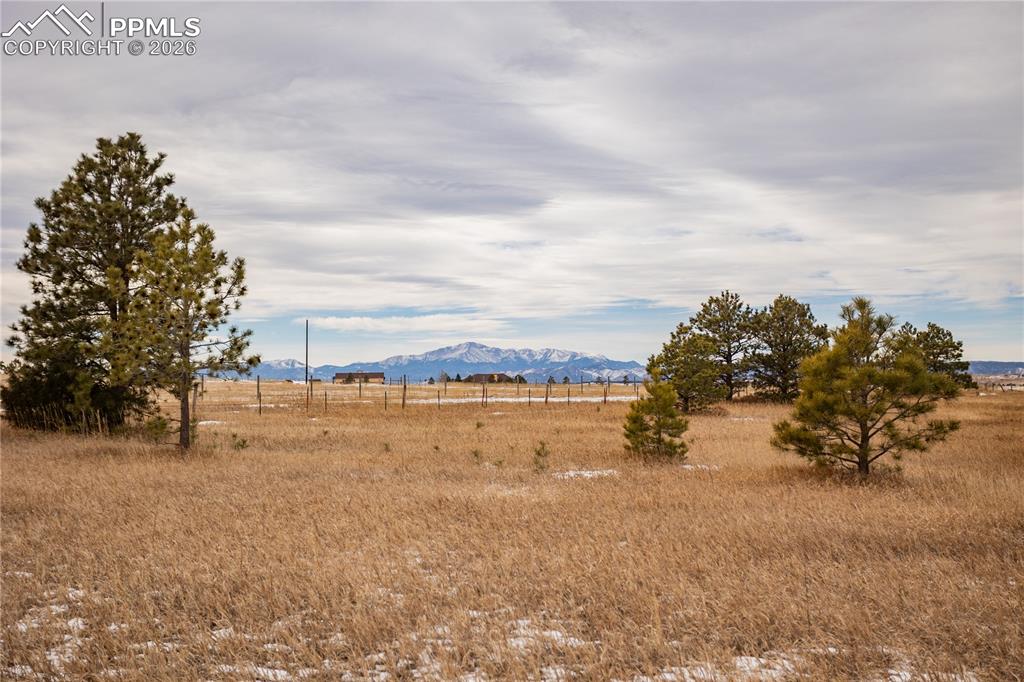 18050 Quarterhorse Lane Colorado Springs CO 80908