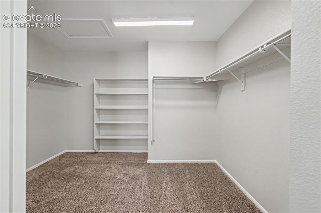 5550 City Vista Drive Colorado Springs CO 80917