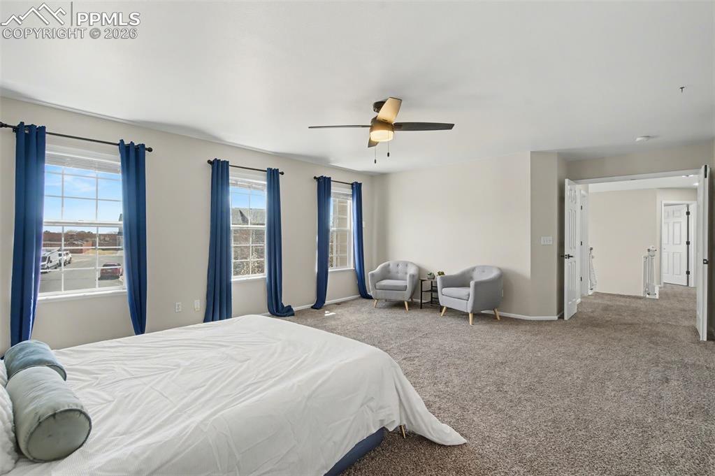 5550 City Vista Drive Colorado Springs CO 80917