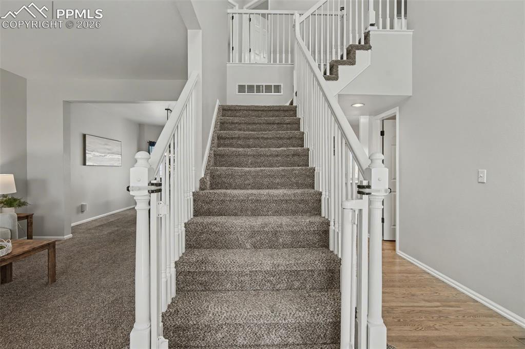 5550 City Vista Drive Colorado Springs CO 80917