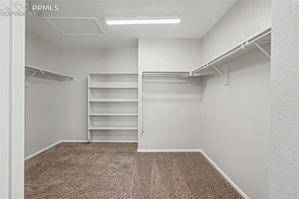 5550 City Vista Drive Colorado Springs CO 80917