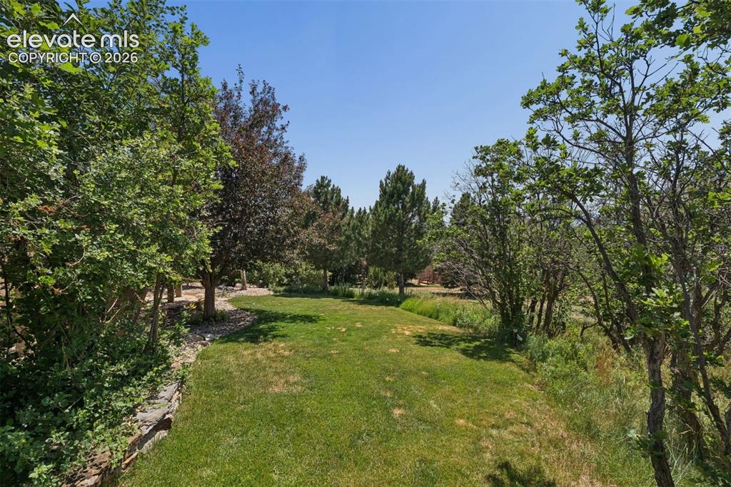 12622 Timberglen Terrace Colorado Springs CO 80921