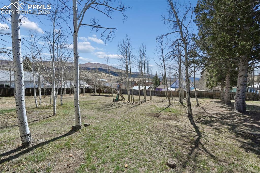 128 W Eaton Avenue Cripple Creek CO 80813