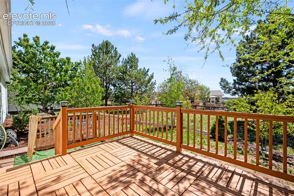 7641 Marmot Point Colorado Springs CO 80922