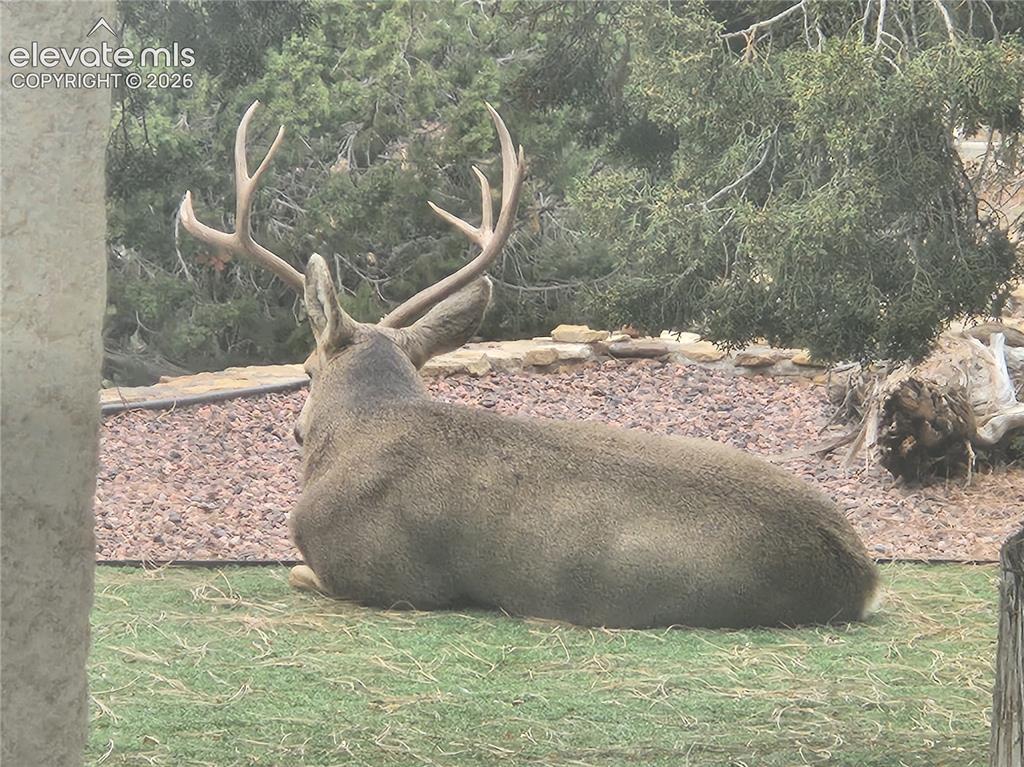 449 S Siesta Lane Pueblo CO 81007