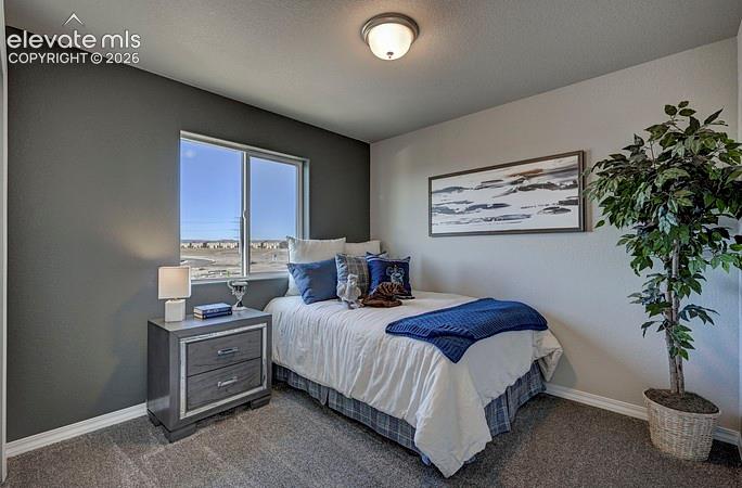 4983 Havenward View Colorado Springs CO 80920