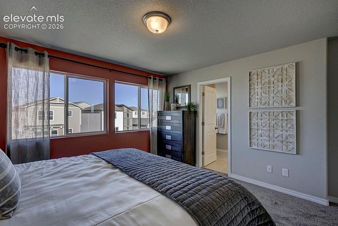 4983 Havenward View Colorado Springs CO 80920