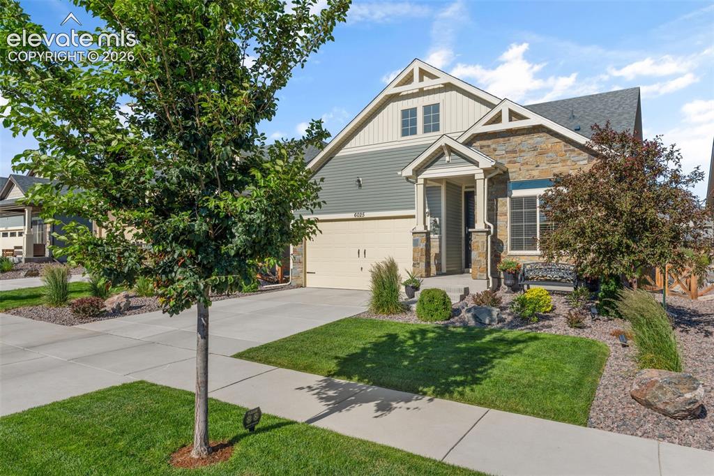 6025 Bennach Grove Colorado Springs CO 80927