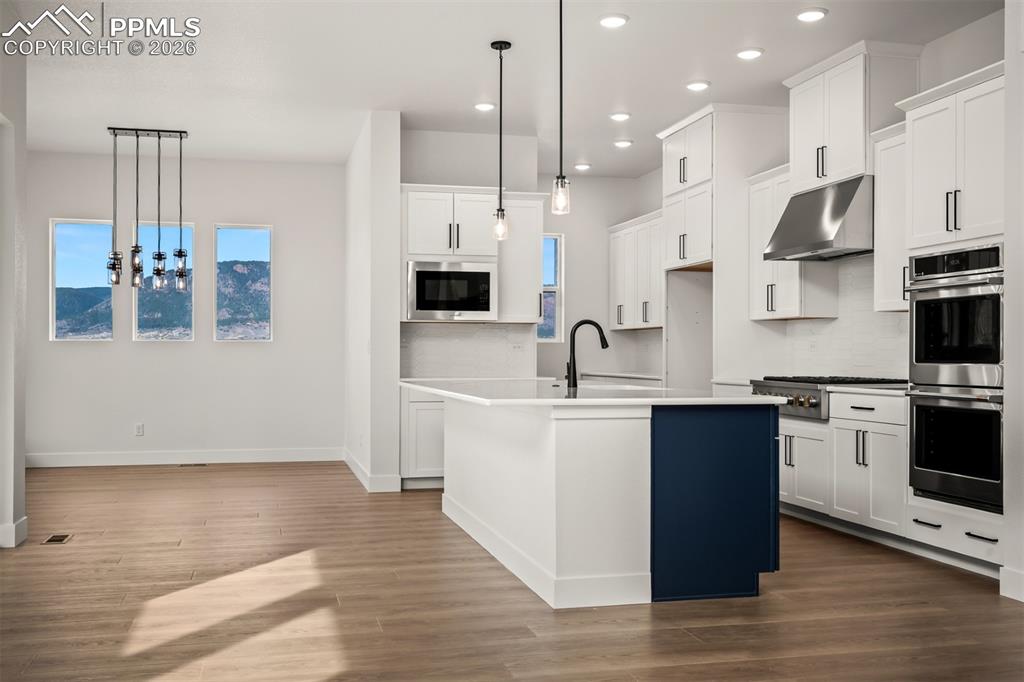 1109 White Clover Drive Monument CO 80132