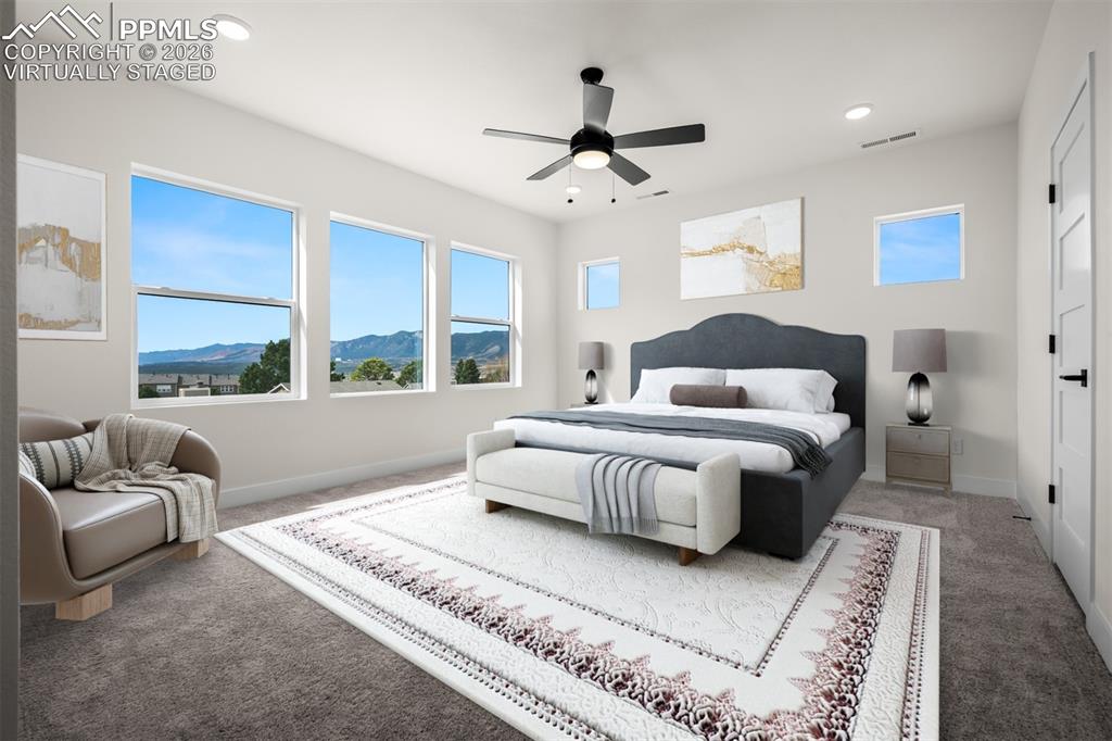 1109 White Clover Drive Monument CO 80132