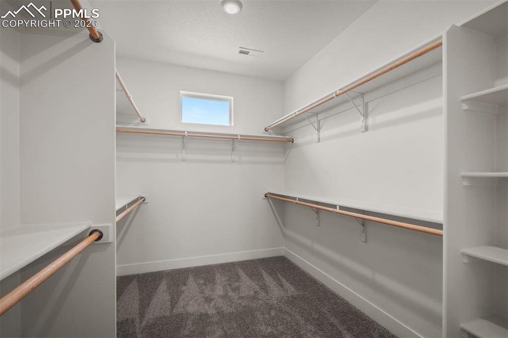 1109 White Clover Drive Monument CO 80132