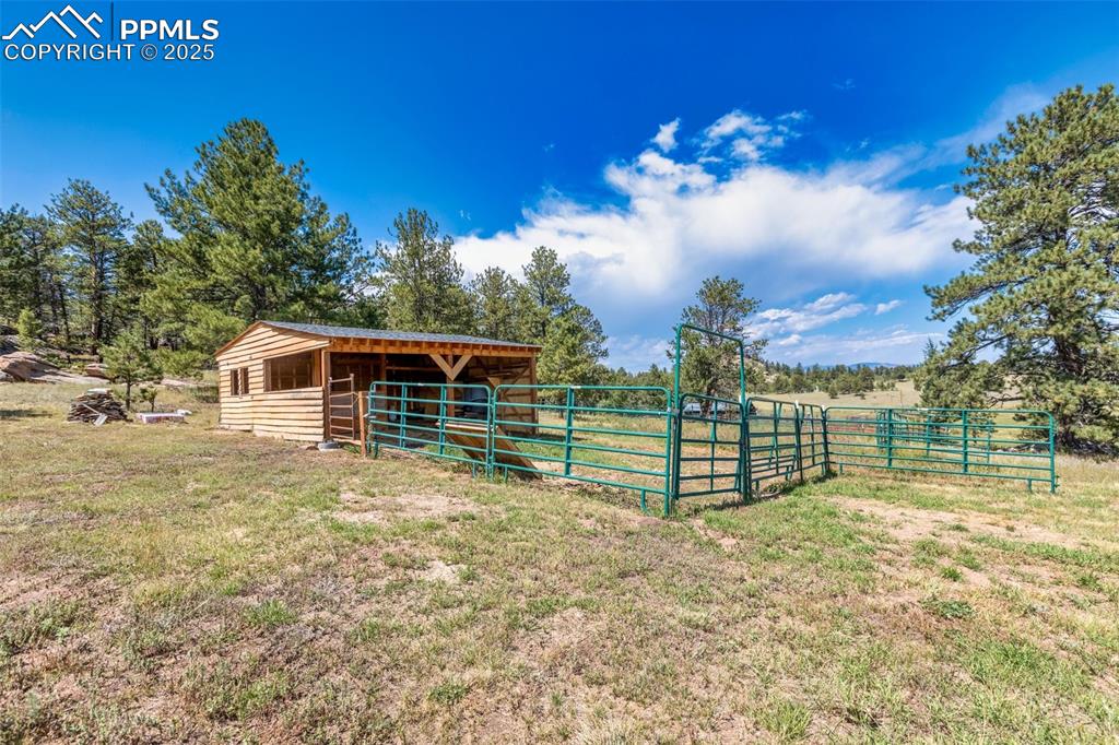 3153 Homestake Place Florissant CO 80816