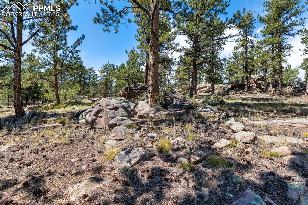 3153 Homestake Place Florissant CO 80816