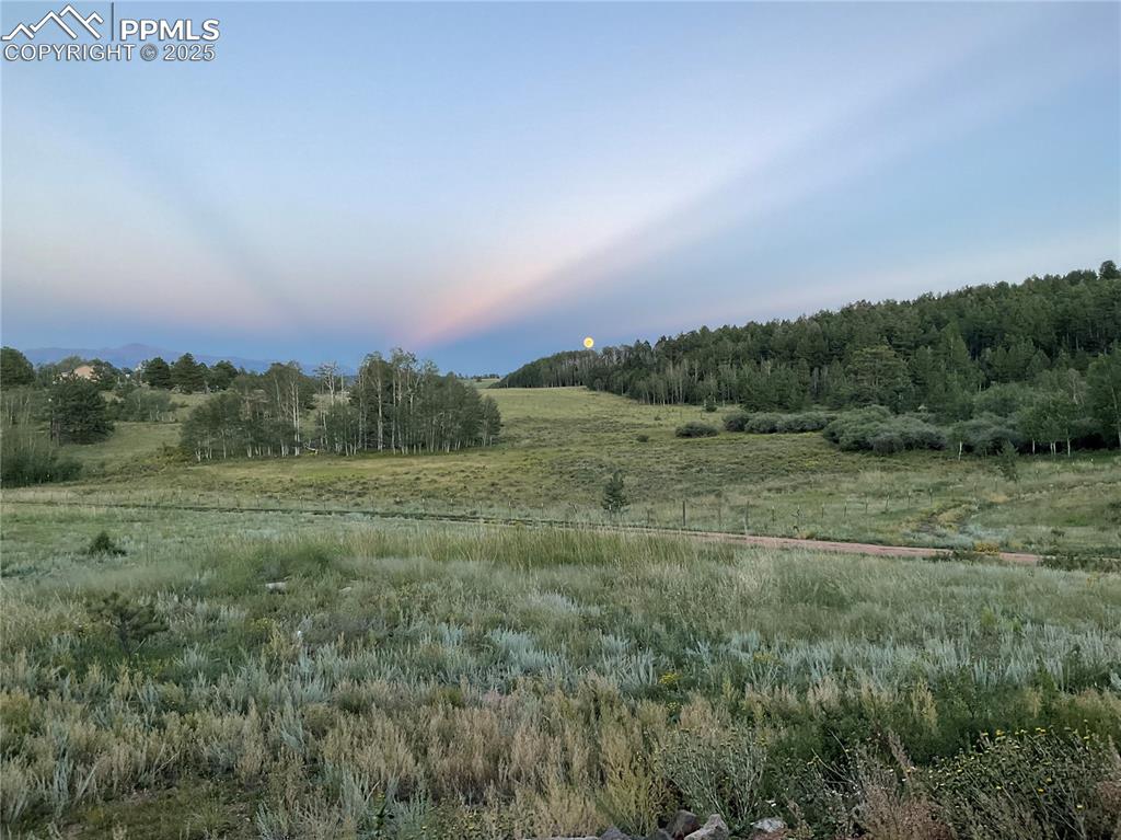 3153 Homestake Place Florissant CO 80816