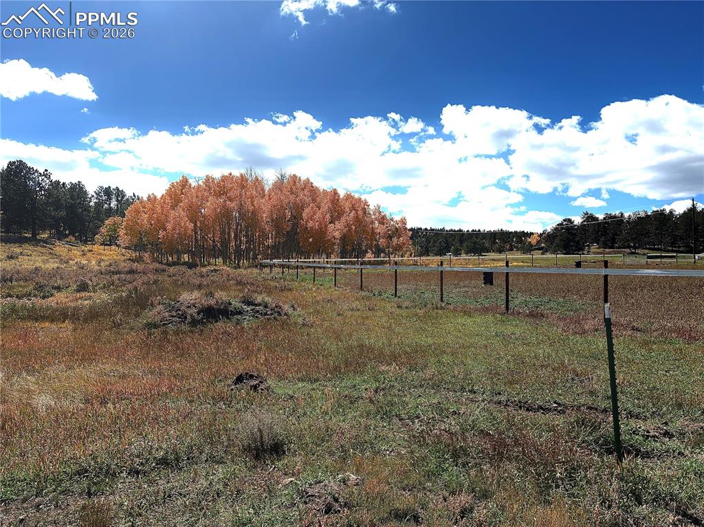 3153 Homestake Place Florissant CO 80816