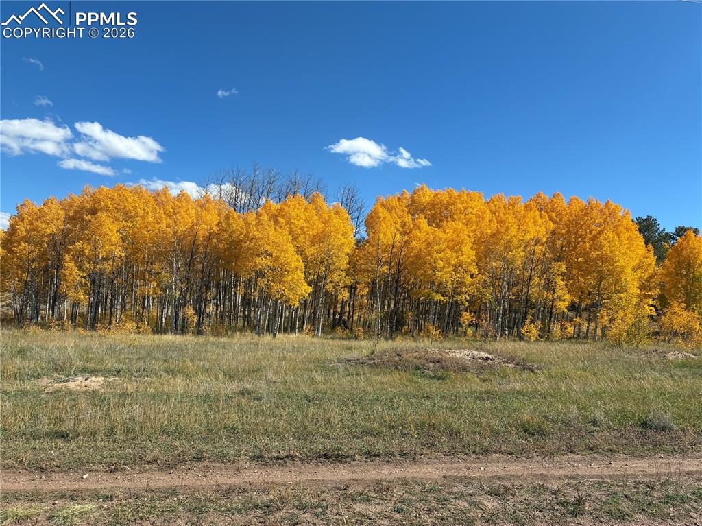 3153 Homestake Place Florissant CO 80816