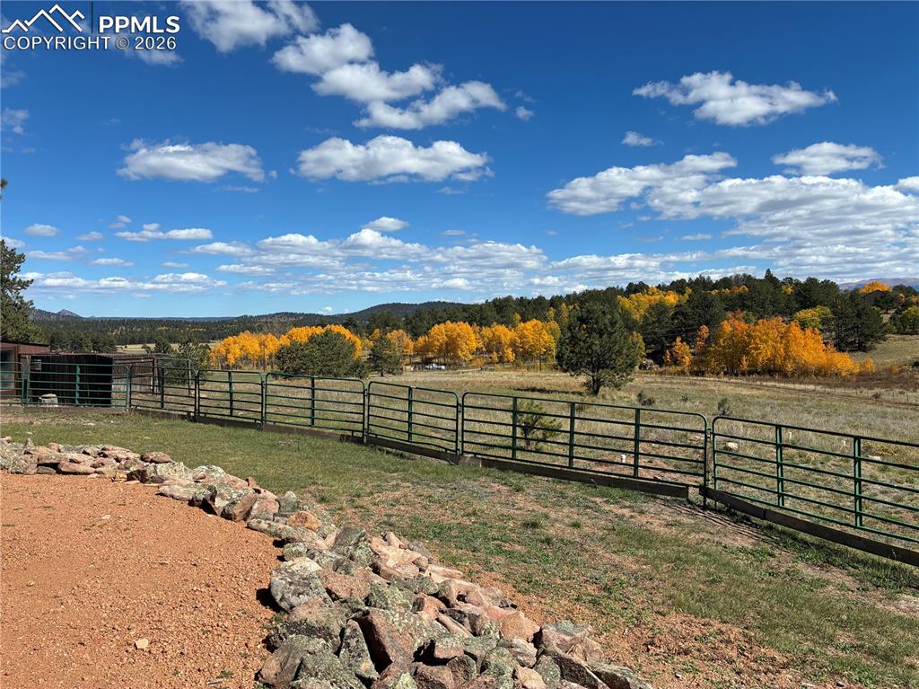 3153 Homestake Place Florissant CO 80816