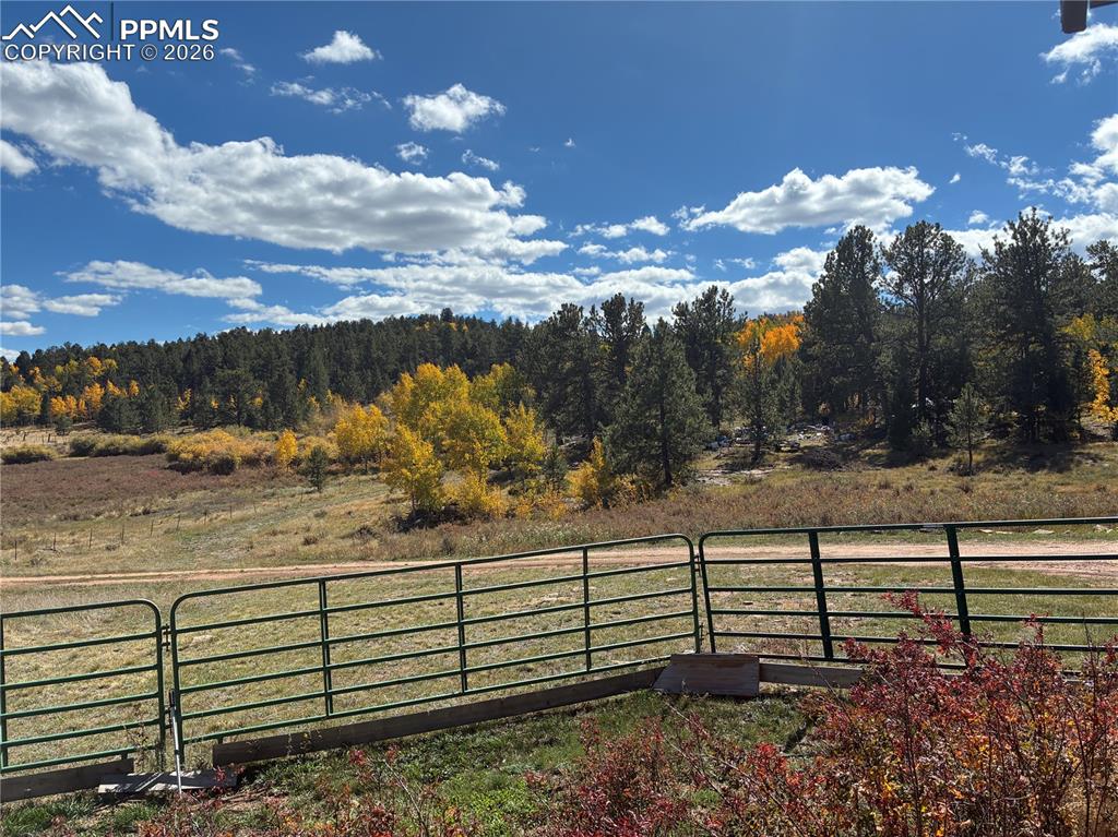 3153 Homestake Place Florissant CO 80816