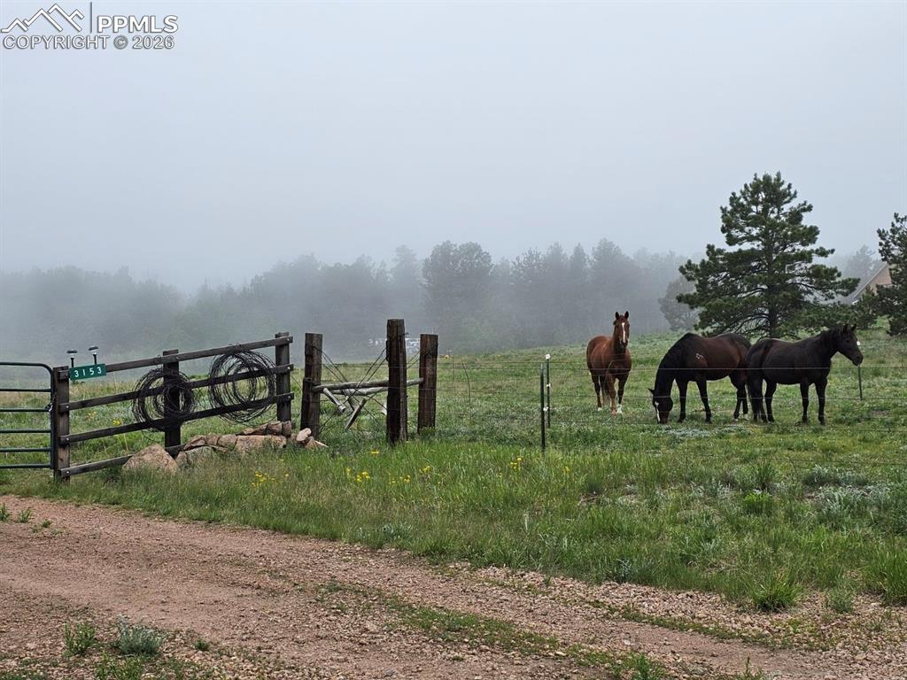3153 Homestake Place Florissant CO 80816