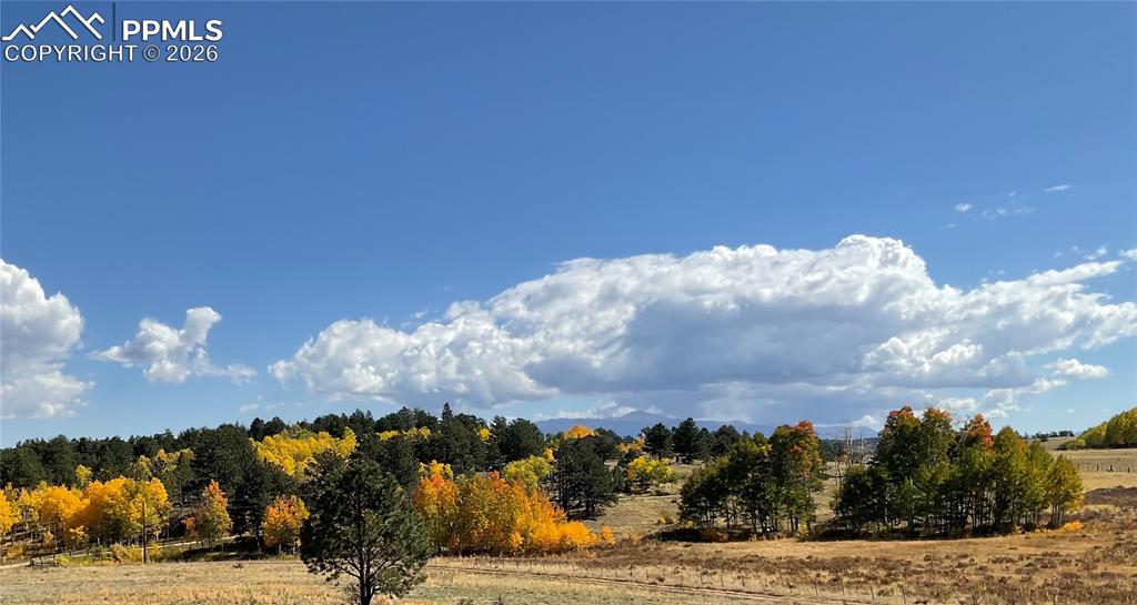 3153 Homestake Place Florissant CO 80816