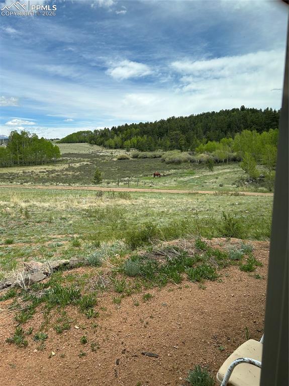 3153 Homestake Place Florissant CO 80816