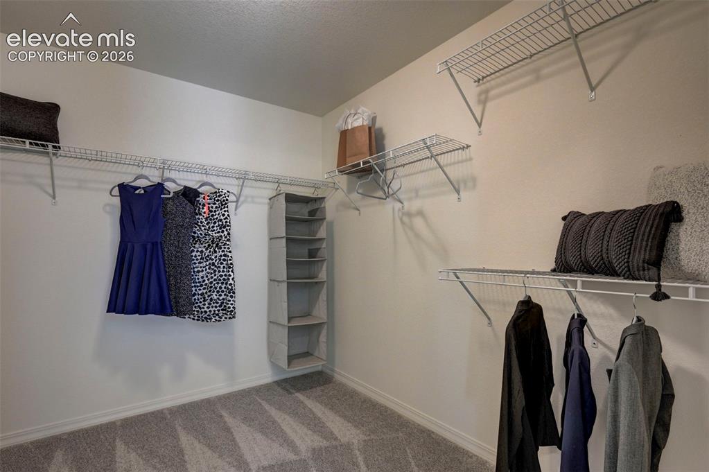 7811 Moore Drive Colorado Springs CO 80908