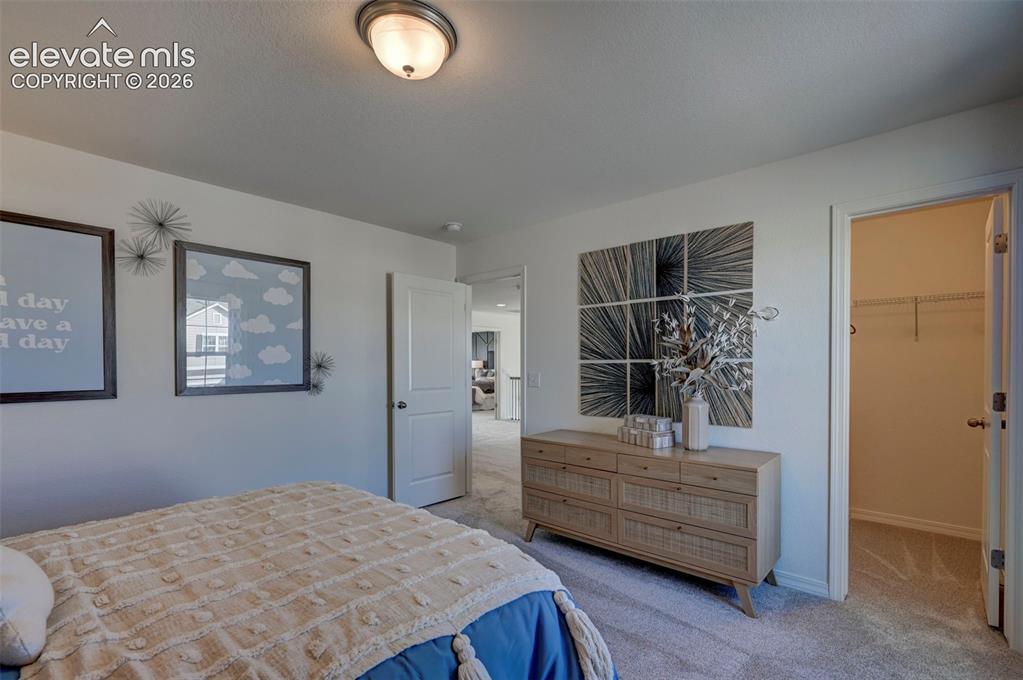 7811 Moore Drive Colorado Springs CO 80908