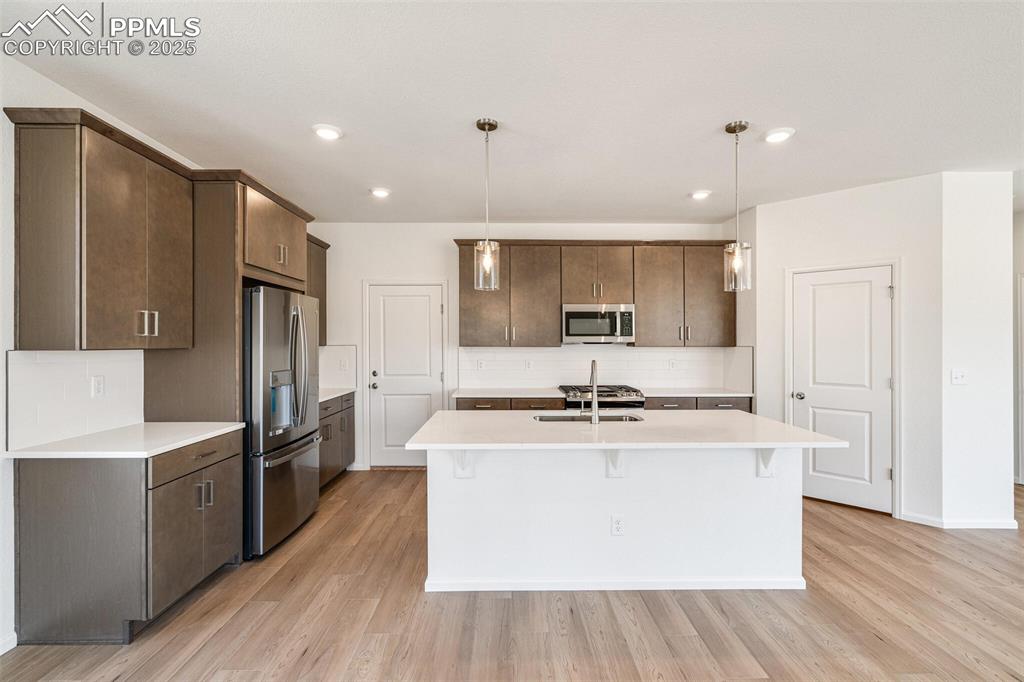 1821 Water Birch Way Castle Rock CO 80108