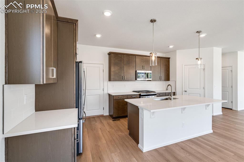 1821 Water Birch Way Castle Rock CO 80108