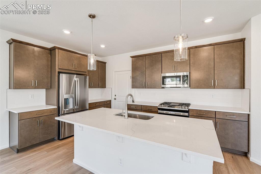 1821 Water Birch Way Castle Rock CO 80108