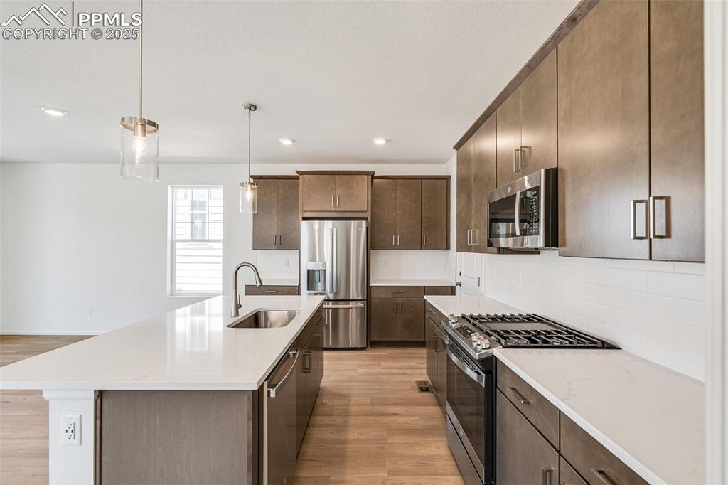 1821 Water Birch Way Castle Rock CO 80108