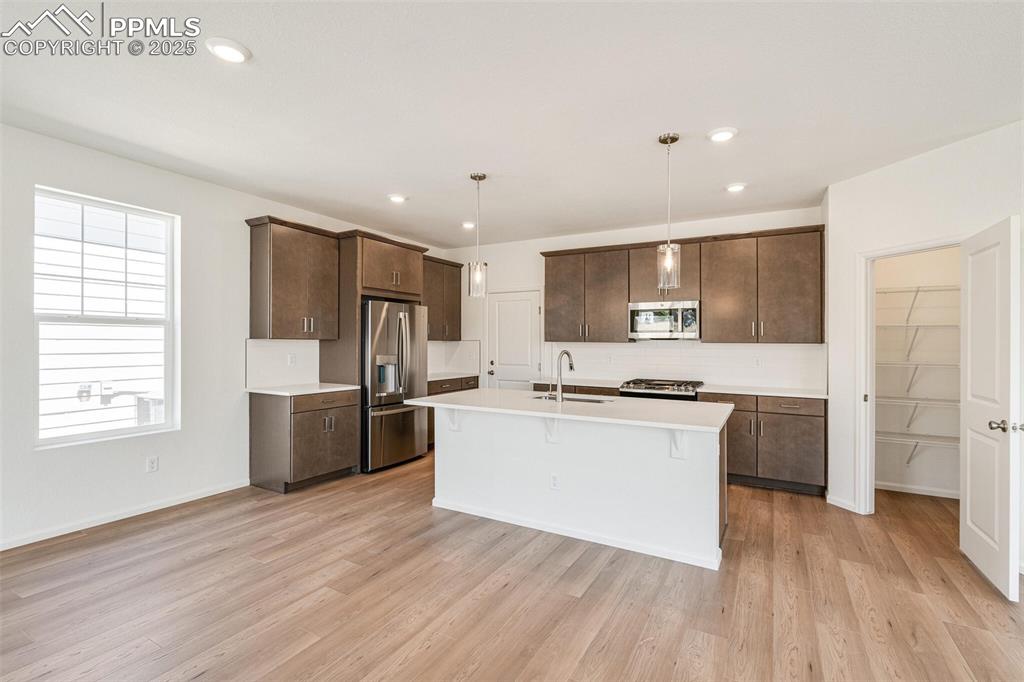 1821 Water Birch Way Castle Rock CO 80108