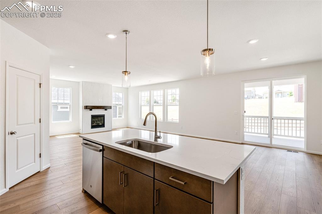 1821 Water Birch Way Castle Rock CO 80108