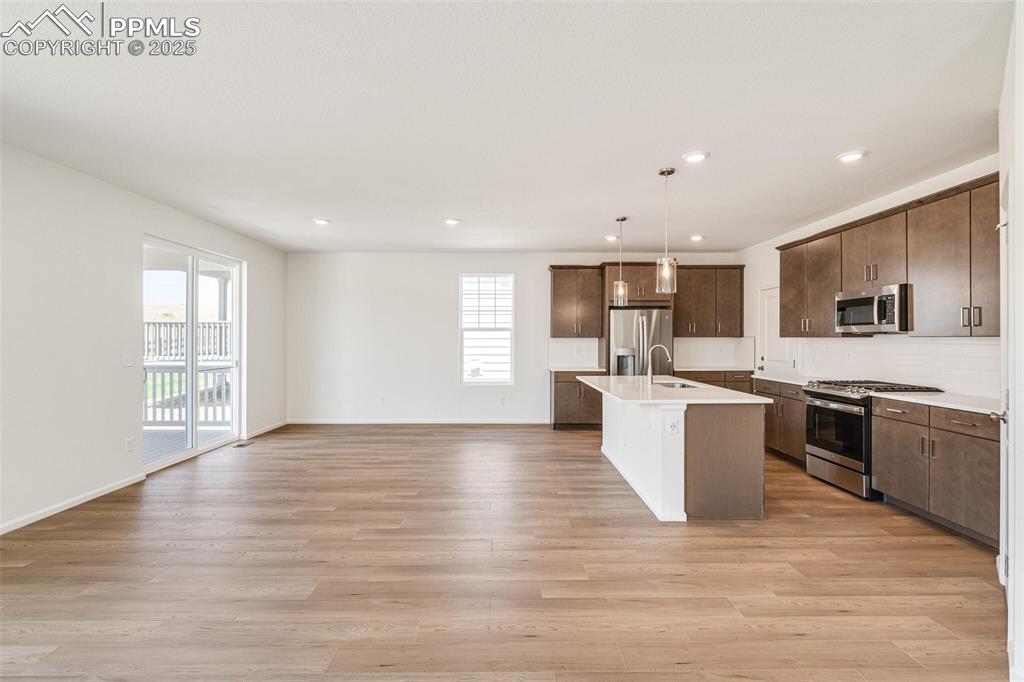 1821 Water Birch Way Castle Rock CO 80108