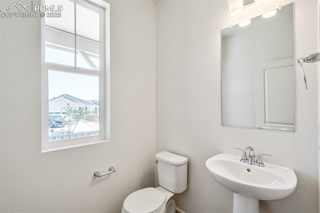 1821 Water Birch Way Castle Rock CO 80108