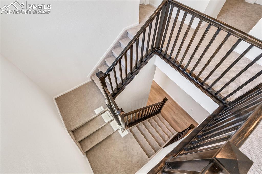 1821 Water Birch Way Castle Rock CO 80108