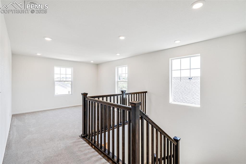 1821 Water Birch Way Castle Rock CO 80108