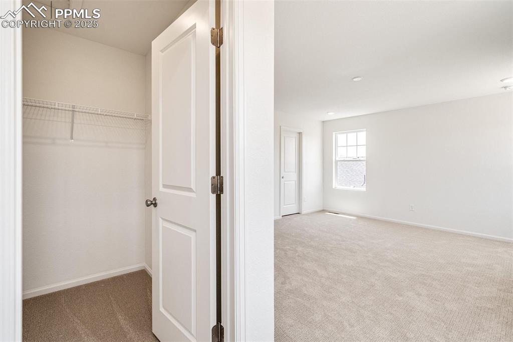 1821 Water Birch Way Castle Rock CO 80108