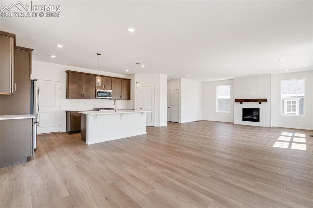 1821 Water Birch Way Castle Rock CO 80108