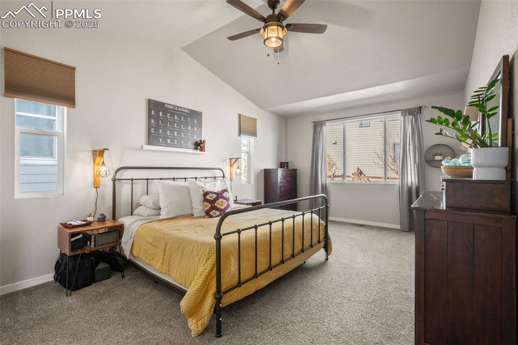 2362 Pelican Bay Drive Monument CO 80132