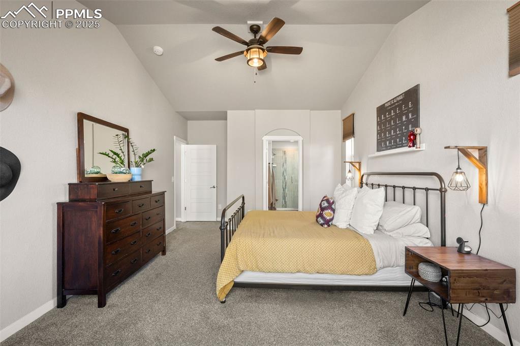 2362 Pelican Bay Drive Monument CO 80132