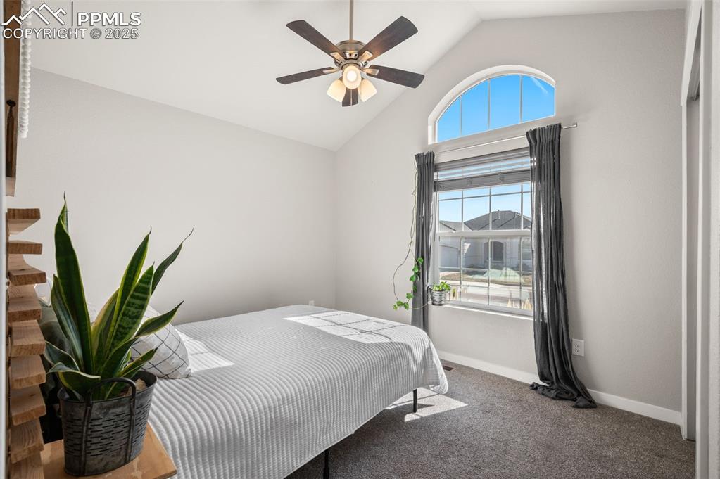 2362 Pelican Bay Drive Monument CO 80132