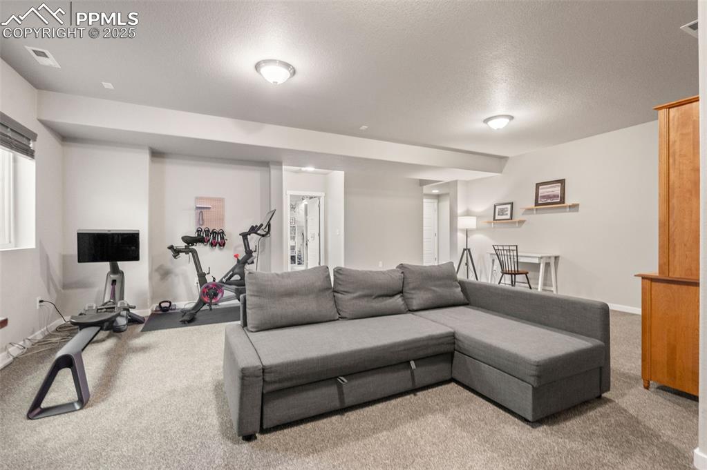 2362 Pelican Bay Drive Monument CO 80132