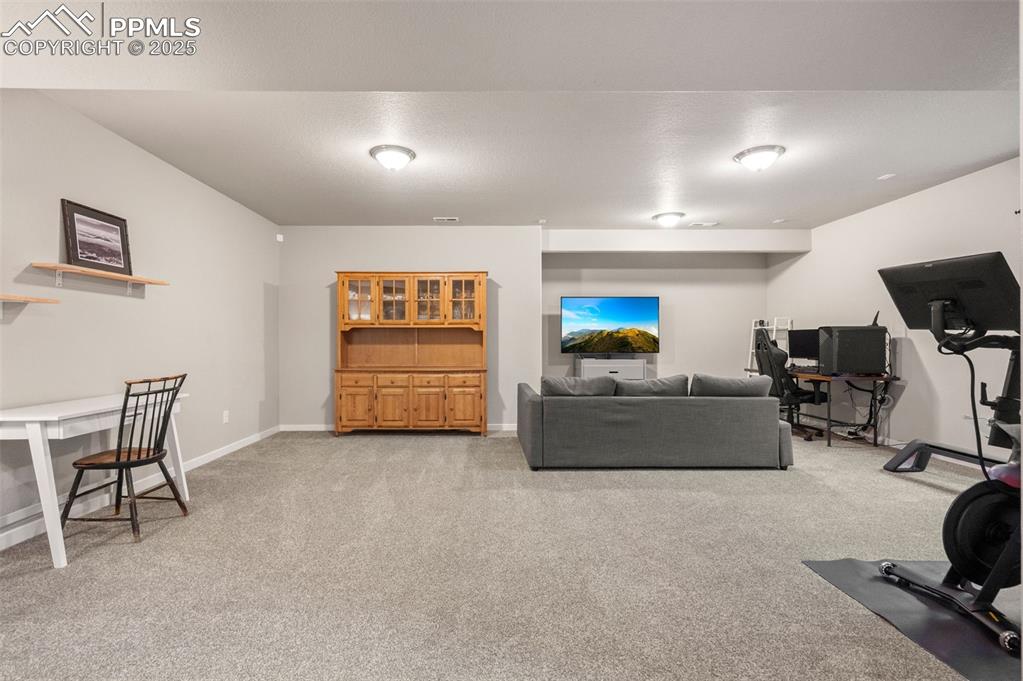2362 Pelican Bay Drive Monument CO 80132