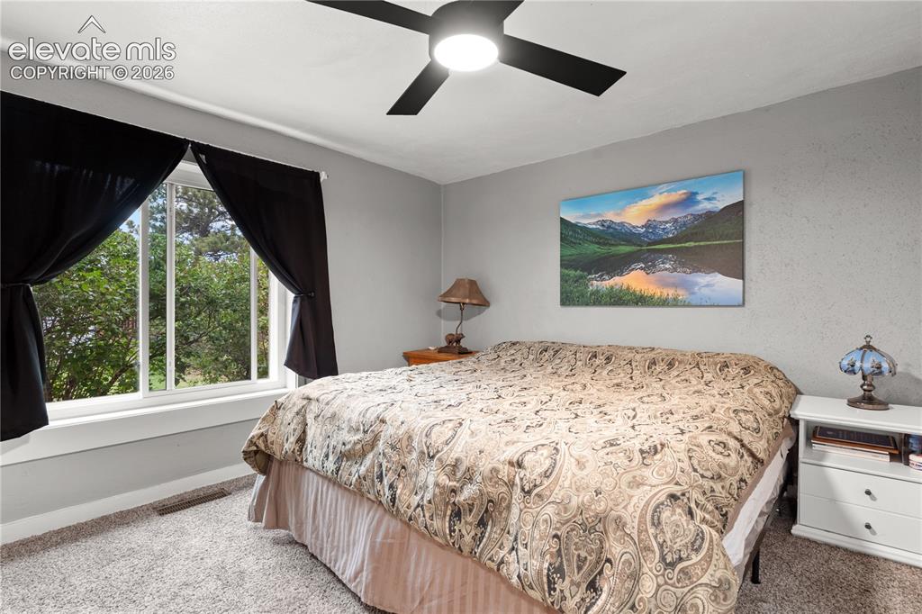 20 Larkspur Street Palmer Lake CO 80133
