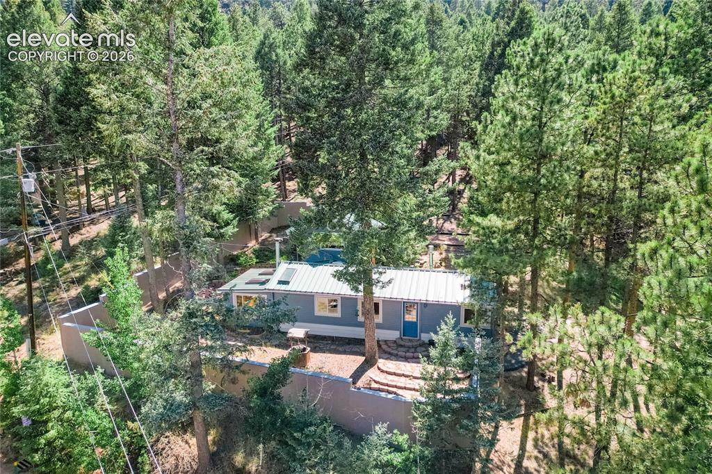 196 Summer Haven Drive Woodland Park CO 80863