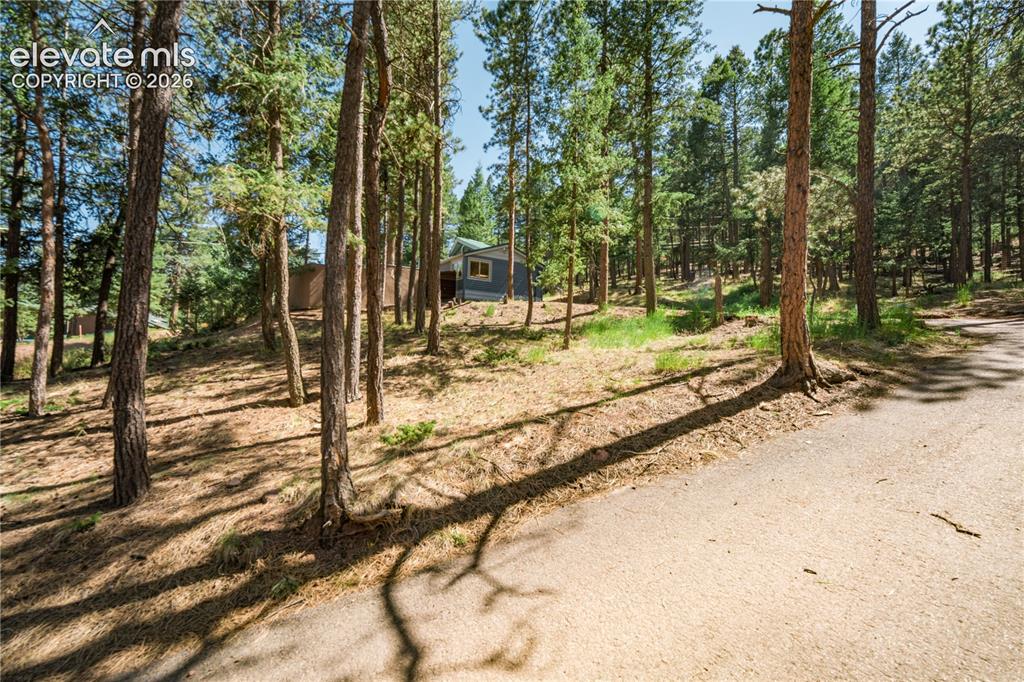 196 Summer Haven Drive Woodland Park CO 80863