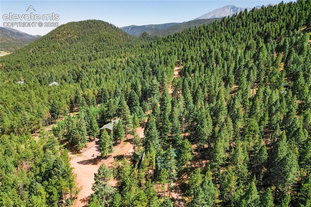 196 Summer Haven Drive Woodland Park CO 80863
