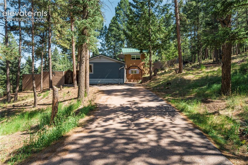 196 Summer Haven Drive Woodland Park CO 80863